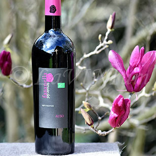 Rosso Auso Biologico 2018 Tenute del Fasanella