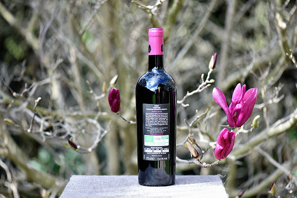 Rosso Auso Biologico 2018 Tenute del Fasanella