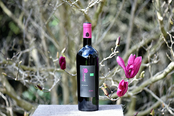 Rosso Auso Biologico 2018 Tenute del Fasanella