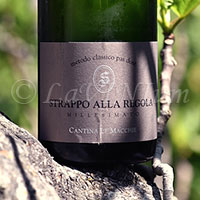 Strappo alla Regola Millesimato 2021 Le Macchie