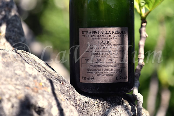 Strappo alla Regola Millesimato 2021 Le Macchie