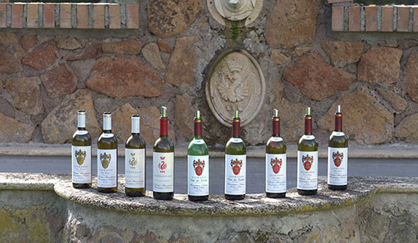 Fiorano Rosso 1988 Tenuta di Fiorano