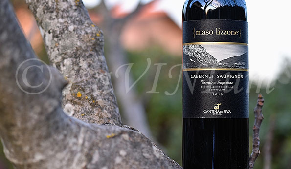Trentino Superiore Cabernet Sauvignon Maso Lizzone 2019 Cantina di Riva