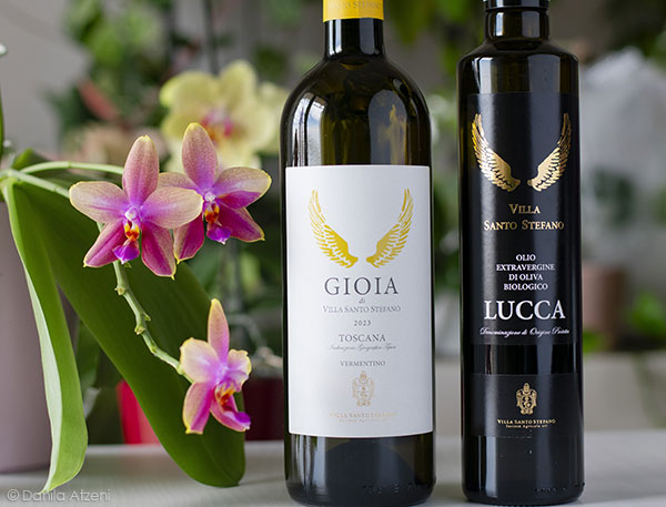 Toscana Vermentino Gioia 2023 e olio evo DOP Lucca Villa Santo Stefano