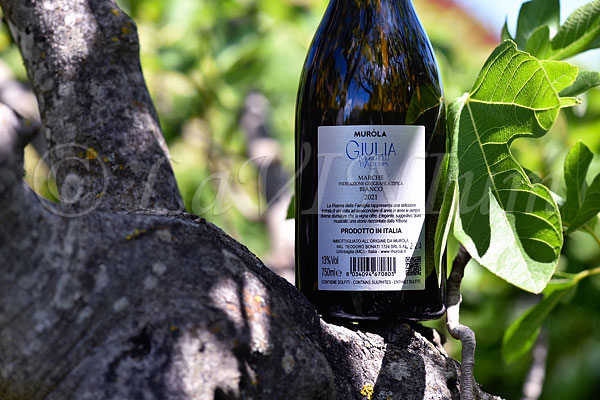 Bianco Giulia Morichelli D'Altemps 2021 Tenute Muròla