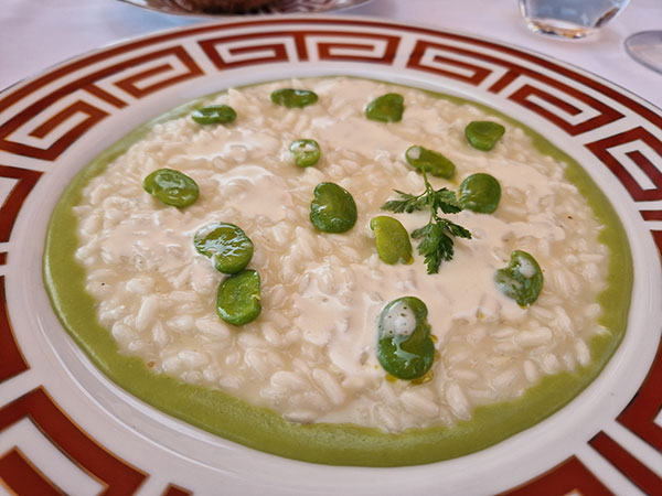 Risotto, fave e pecorino