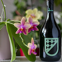 Spumante Metodo Classico Dosaggio Zero Siria Lucchetti