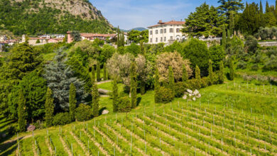 Terre d'Aenòr, Palazzo Bianchi