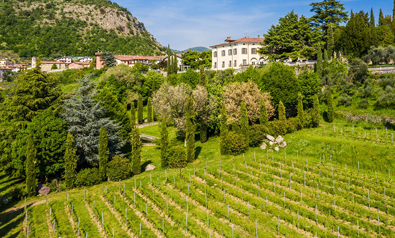 Terre d'Aenòr, Palazzo Bianchi