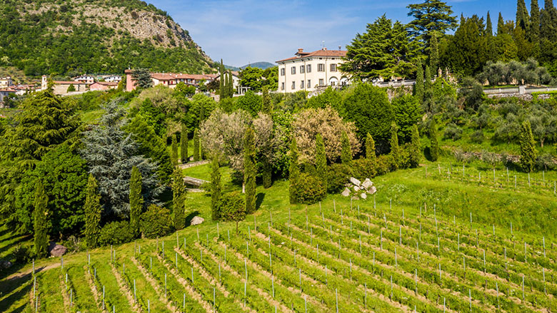 Terre d'Aenòr, Palazzo Bianchi