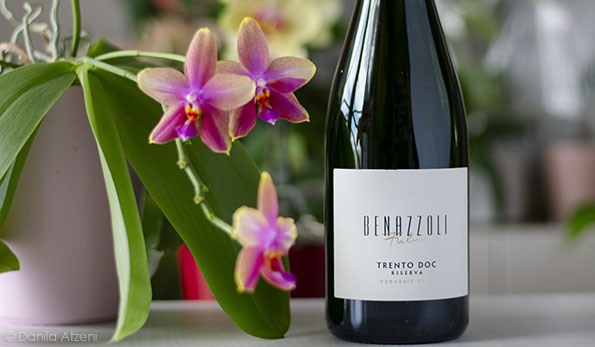 Trentodoc Riserva Dosaggio Zero 2019 Benazzoli