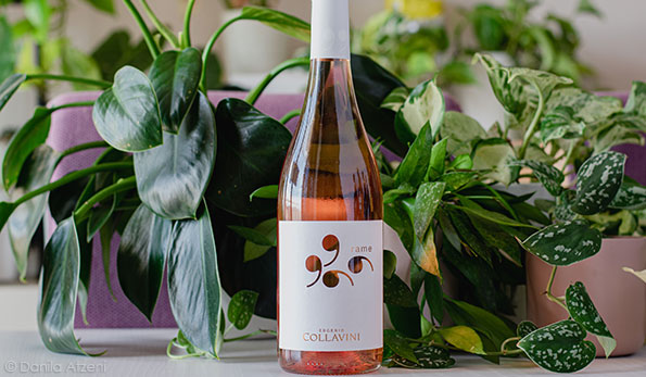 Rame Rosé 2021 Collavini
