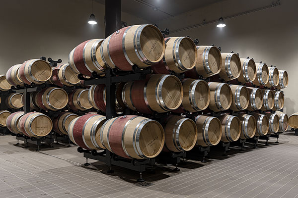 Viandante del Cielo barricaia