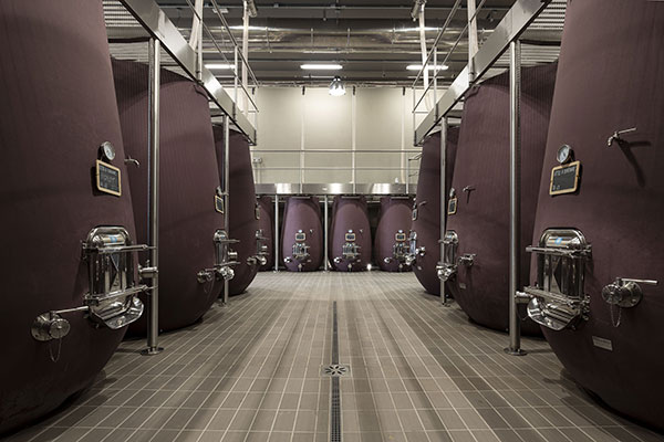 Viandante del Cielo cantina