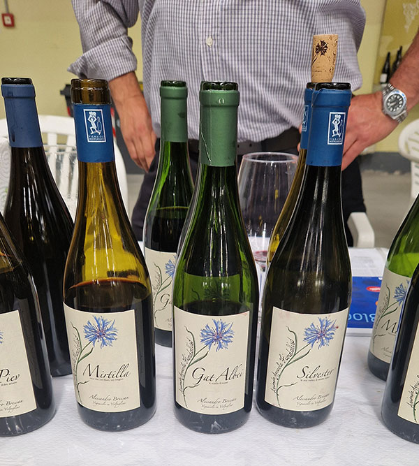 Vini azienda Fiordaliso