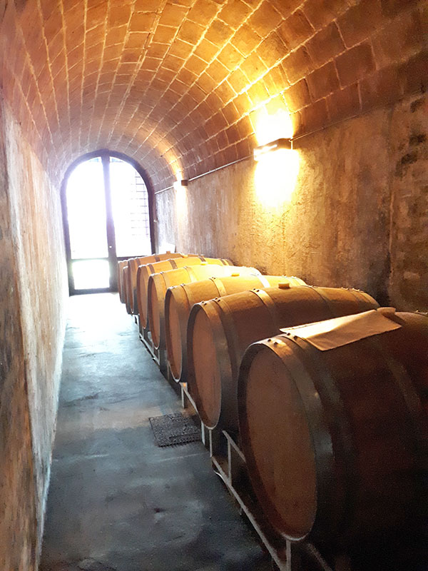 La bottaia di Casa Lucii