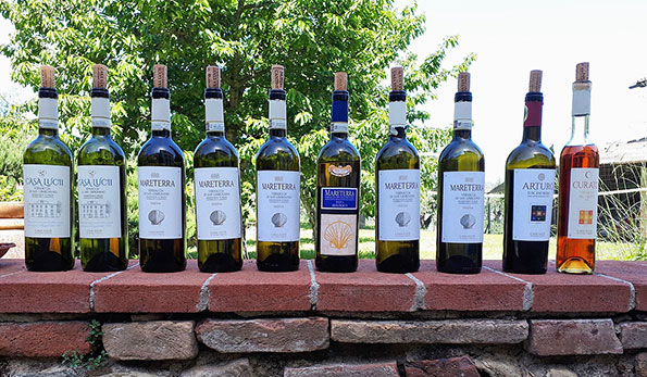 Casa Lucii, tutti i vini degustati