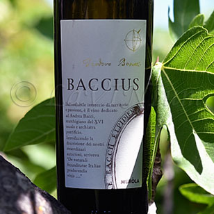 Colli Maceratesi Ribona Baccius 2022 Tenute Murola