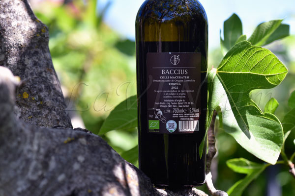 Colli Maceratesi Ribona Baccius 2022 Tenute Muròla