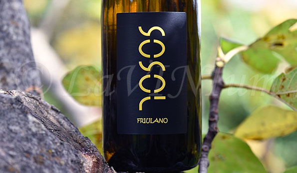 Collio Friulano 2022 Sosol