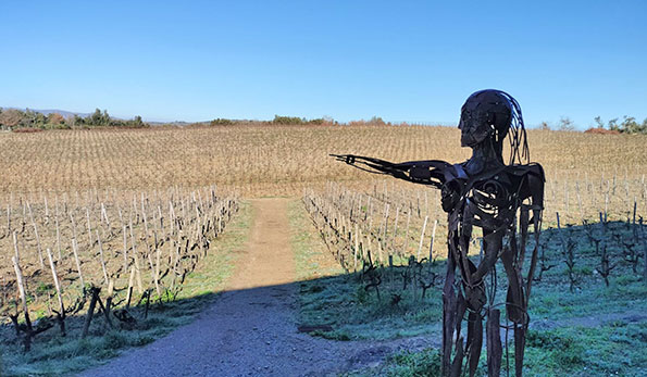 Statua in vigneto di Giovanna Morganti
