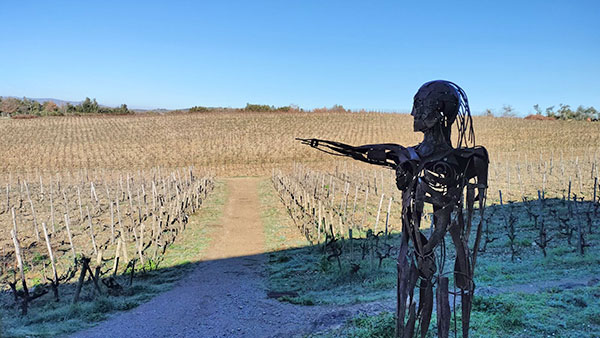 Statua in vigneto di Giovanna Morganti