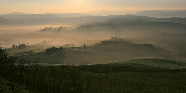 Vigneti Tenute Muròla