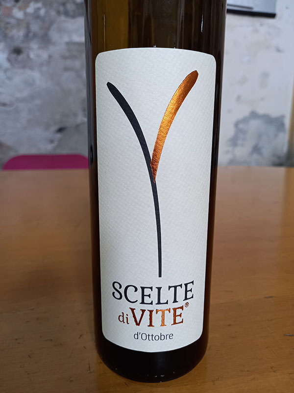 Cantina 366 – Erbaluce di Caluso Scelte di Vite d’Ottobre 2021