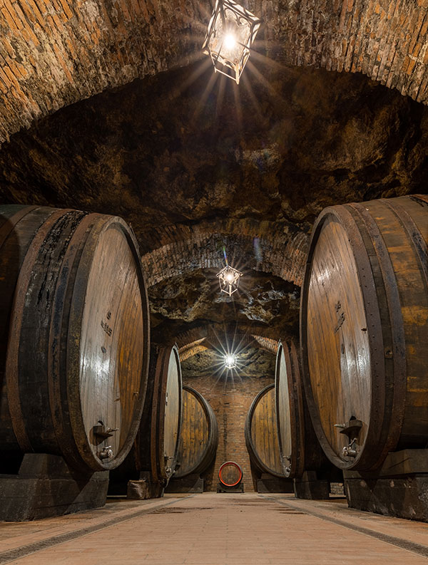 Cantina Fattoria della Talosa