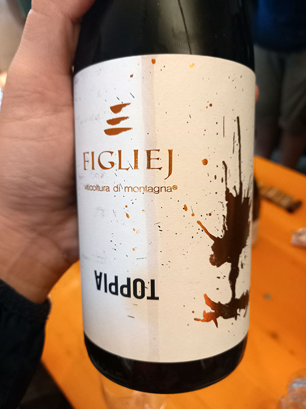 Figliej – Canavese Rosso Toppia 2021