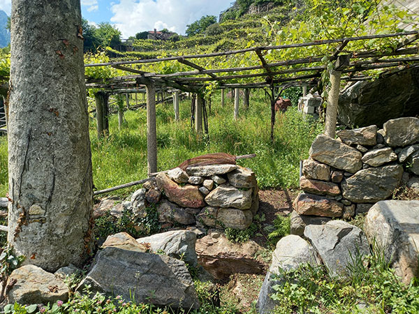 La roccia che domina Carema