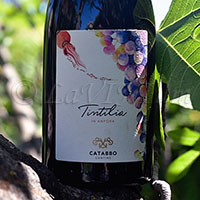 Tintilia del Molise In Anfora 2021 Catabbo