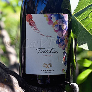 Tintilia del Molise In Anfora 2021 Catabbo