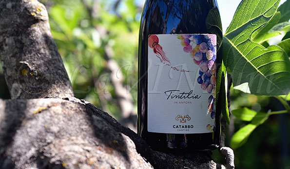 Tintilia del Molise In Anfora 2021 Catabbo