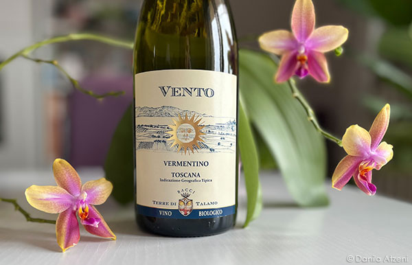 Toscana Vermentino 2023 – Terre di Talamo