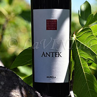 Sangiovese Antek 2018 Tenute Muròla