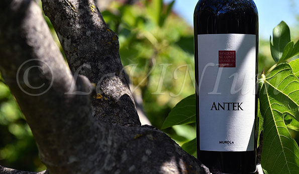 Sangiovese Antek 2018 Tenute Muròla