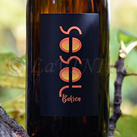 Bianco Bakren 2022 Sosol