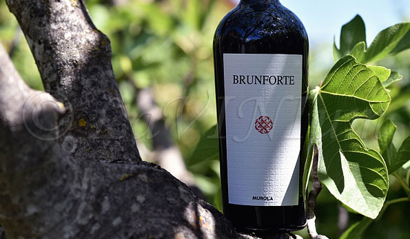 Rosso Brunforte 2016 Tenute Muròla