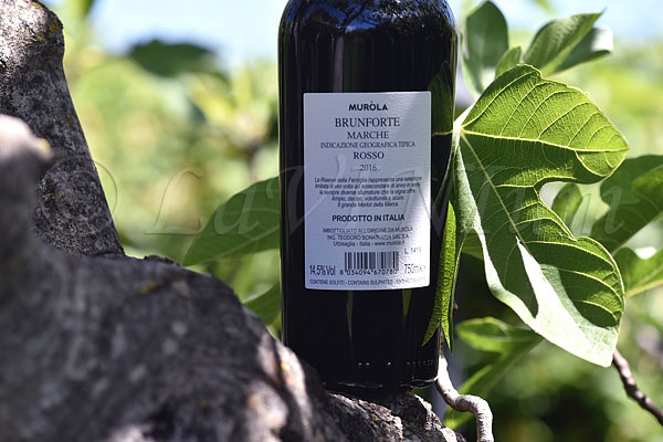 Brunforte Rosso 2016 Tenute Muròla