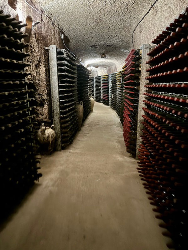 La cantina storica dell'azienda Mustilli