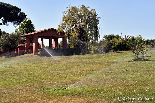 Irrigazione alla Tenuta San Pietro dopo numerosi giorni di siccità