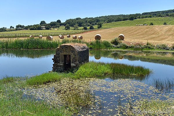 Tenuta Antoniana laghetto