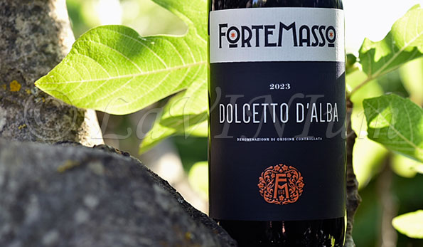 Dolcetto d'Alba Fortemasso 2023 Fortemasso