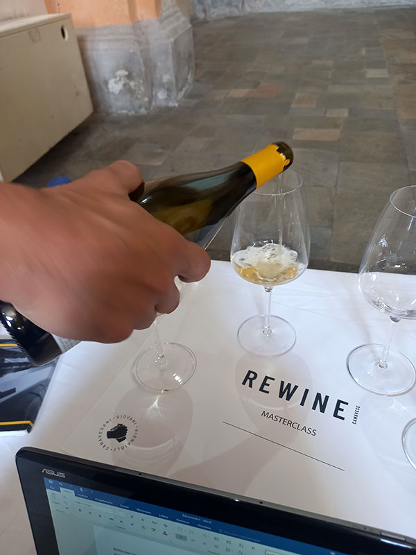 Masterclass Rewine 2024
