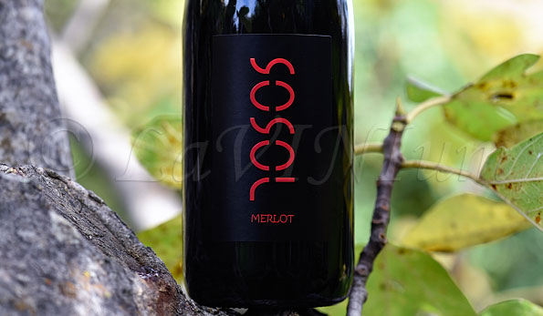 Collio Merlot 2021 Sosol