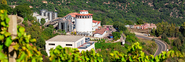 Cantina Antichi Poderi Jerzu