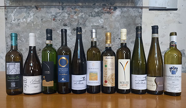 Rewine 2024 vini in degustazione