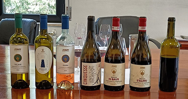 Antichi Poderi Jerzu vini