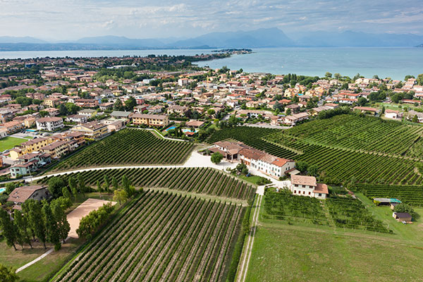 Vigneti Cascina Maddalena